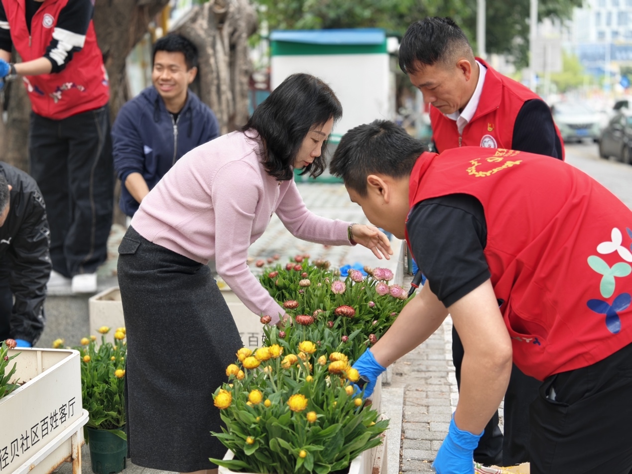 植绿添彩映初心——西乡街道径贝社区开展“爱绿植绿护绿兴绿”主题党日活动