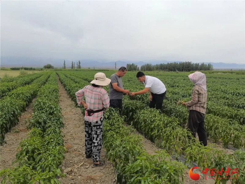 杨宏碧在农田里和农民朋友在一起