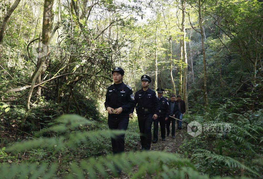 2026年3月11日，永丰县公安局环食药侦大队民警在水浆省级自然保护区开展常态化生态巡护，强化林区安全管控，守护野生动植物栖息环境。