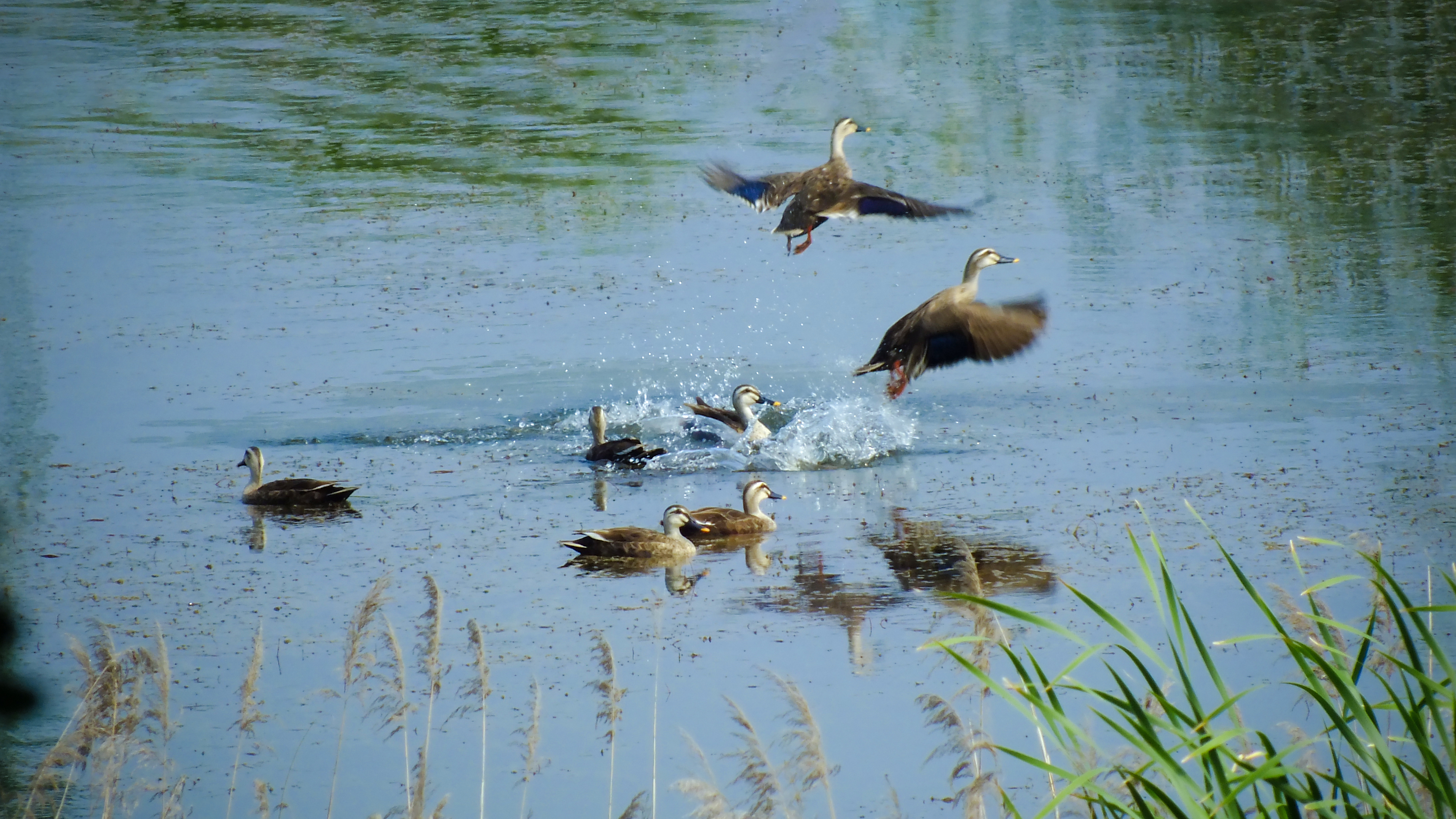 只此青绿，徐州的“执念”