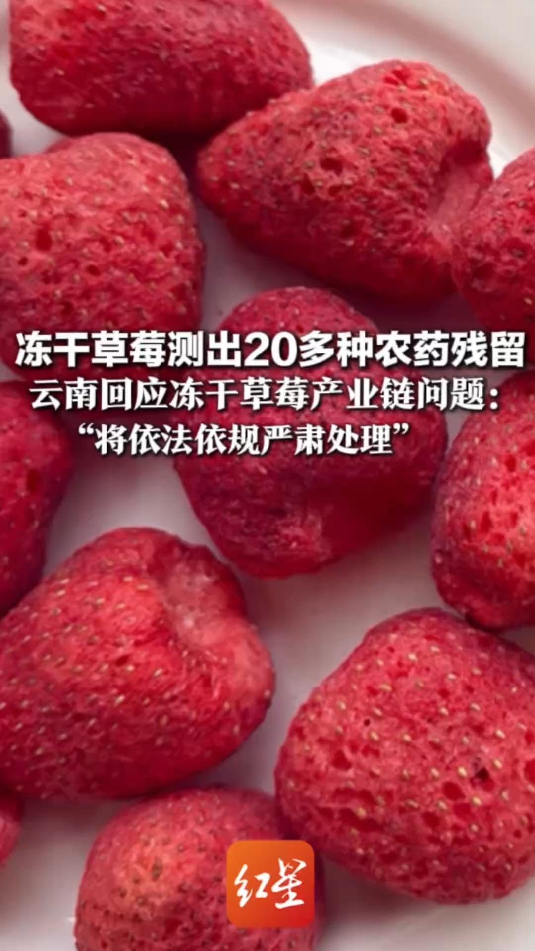 爱吃草莓干的人“天塌了”  冻干草莓测出20多种农药残留 云南回应冻干草莓产业链问题： “将依法依规严肃处理”