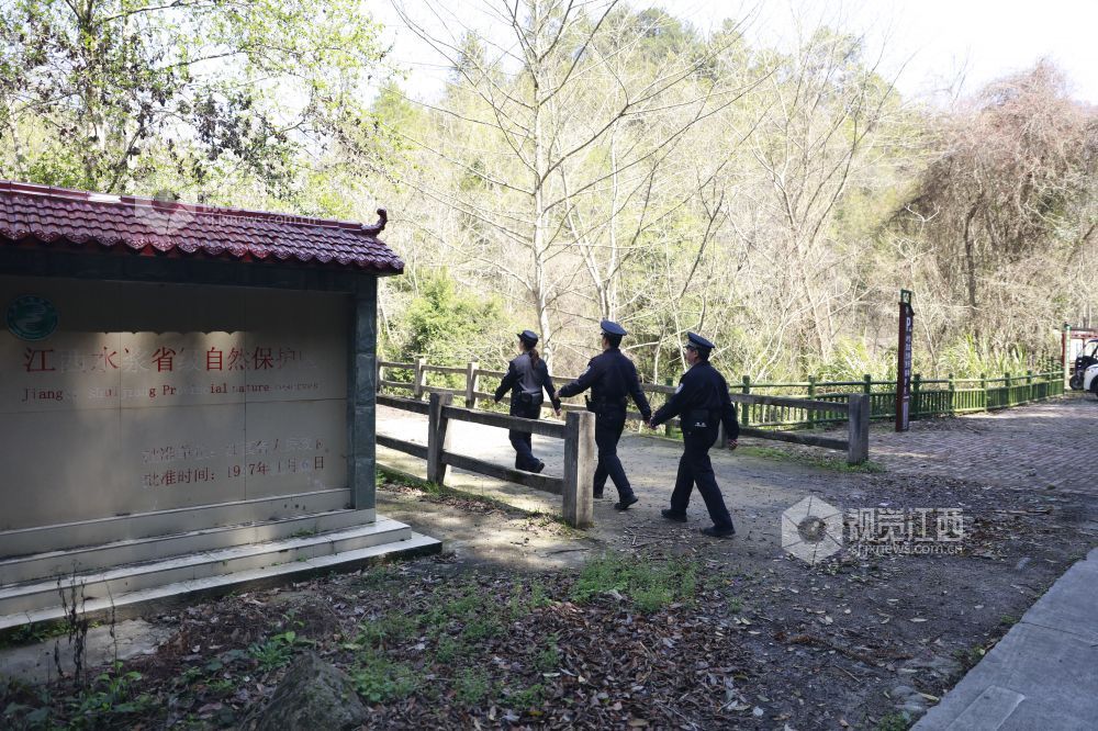 2026年3月11日，永丰县公安局环食药侦大队民警在水浆省级自然保护区开展常态化生态巡护，强化林区安全管控，守护野生动植物栖息环境。