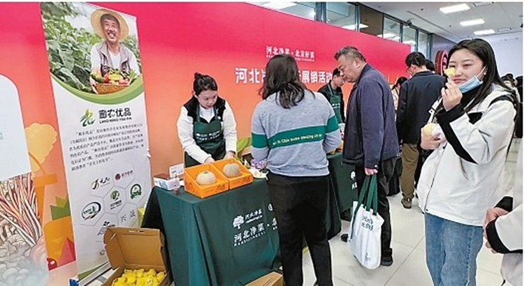 2025年3月，“河北净菜”展示展销专场活动在北京举行，“廊农优品”首次进京亮相。王鹏摄