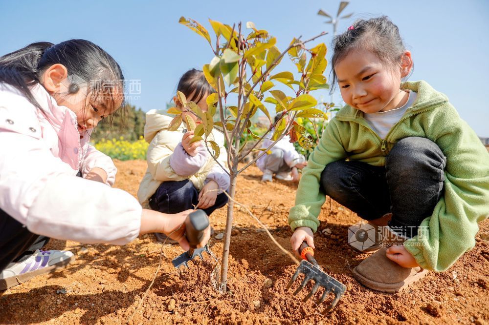 江西峡江：春来植树添新绿（图）