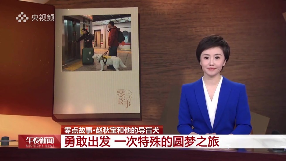零点故事丨赵秋宝和他的导盲犬 勇敢出发 一次特殊的圆梦之旅