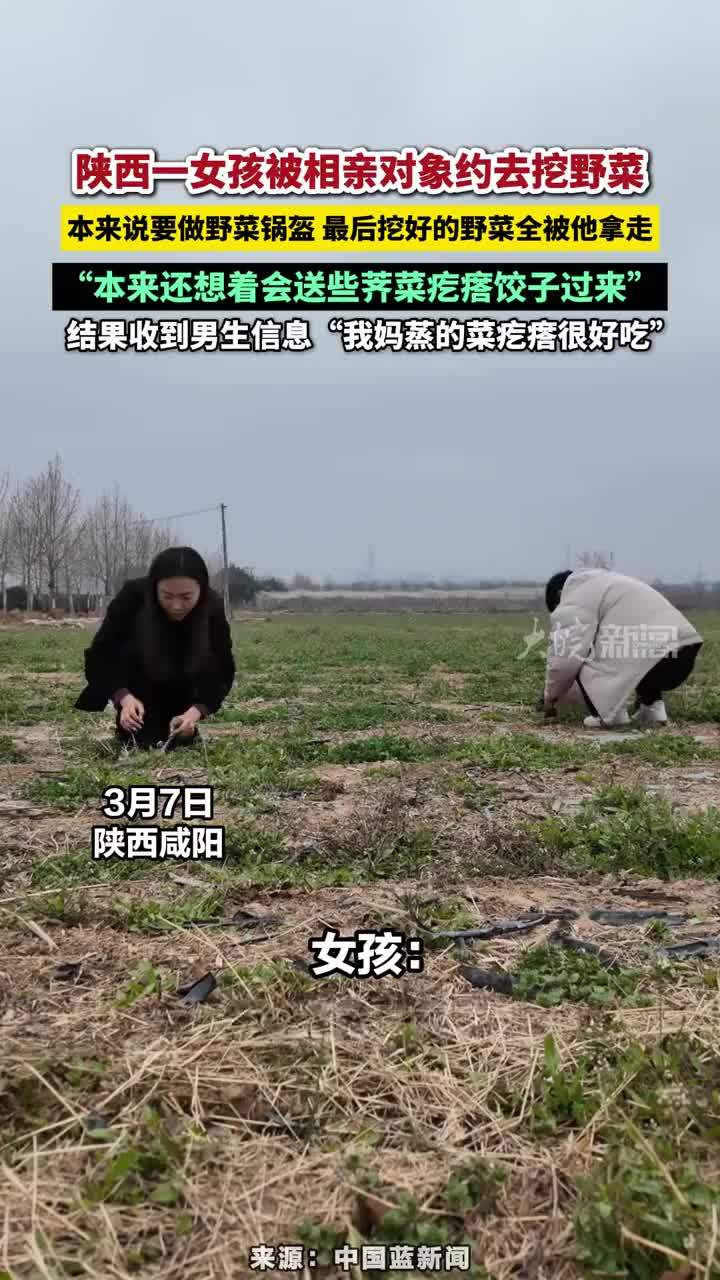 陕西一女孩被相亲对象约去挖野菜 近日，陕西一女孩被相亲对象约去挖野菜，本来说要做野菜锅盔 最后挖好的野菜全被他拿走，“本来还想着会送些荠菜疙瘩饺子过来”，结果收到男生信息“我妈蒸的菜疙瘩很好吃”#相亲