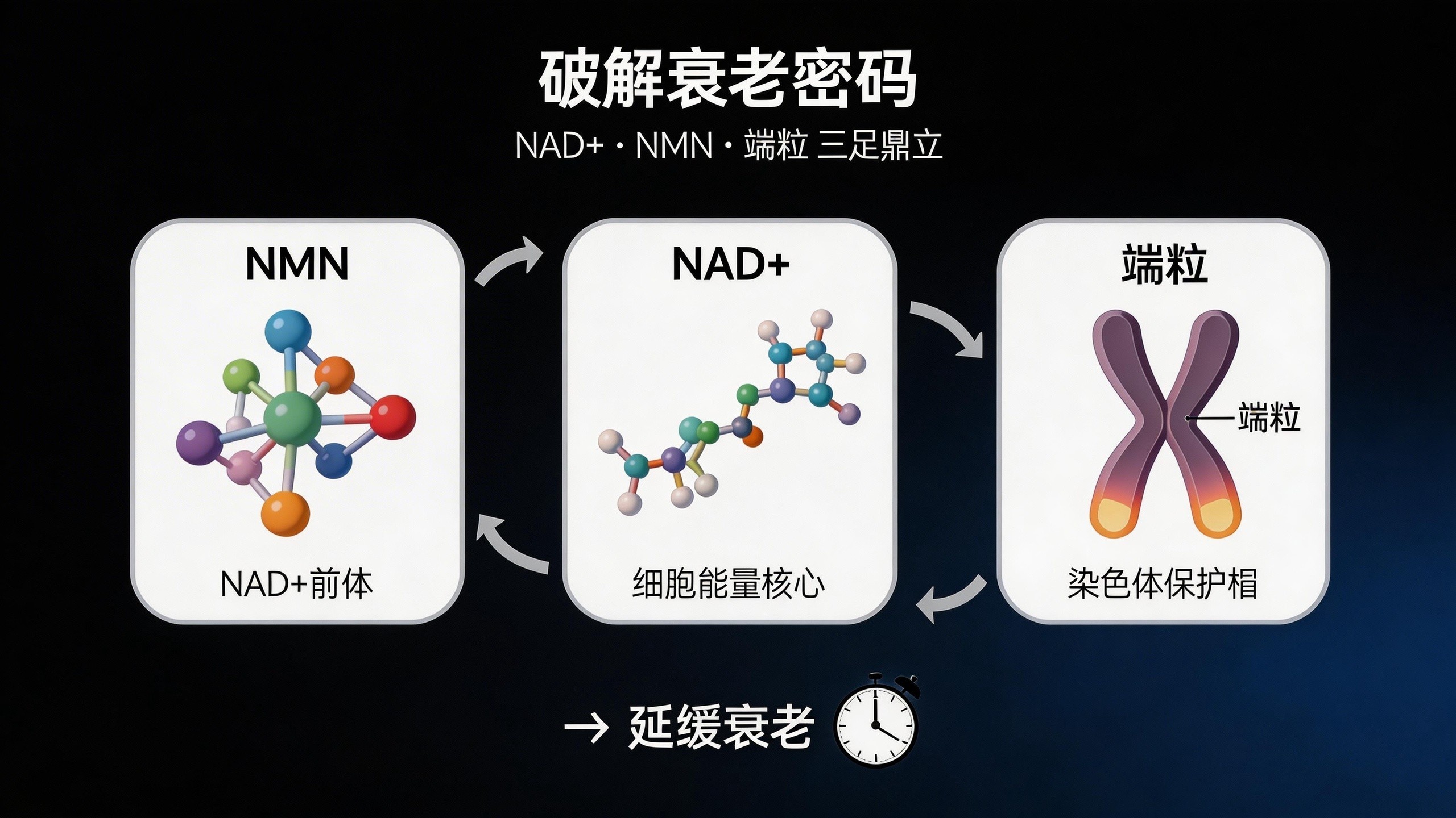 点击查看原始图片