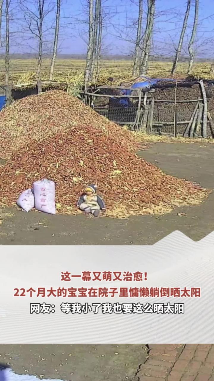 这一幕又萌又治愈！22个月大的宝宝在院子里慵懒躺倒晒太阳 网友：等我小了我也要这么晒太阳