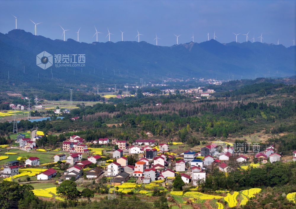 2026年3月6日，江西省吉安市泰和县水槎乡新桥村一带，油菜花田与大山、农舍相映成景，生态山乡风景独好。