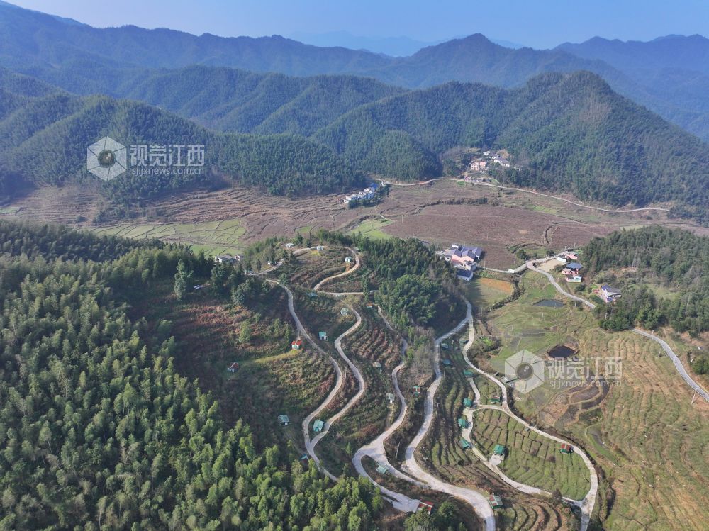 江西芦溪：发展蛋鸡养殖 助力乡村振兴（图）