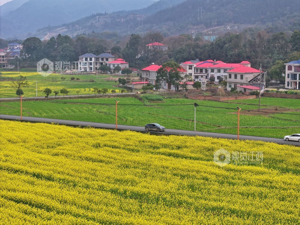 江西芦溪：以花为媒 “扮靓”乡村振兴路（图）