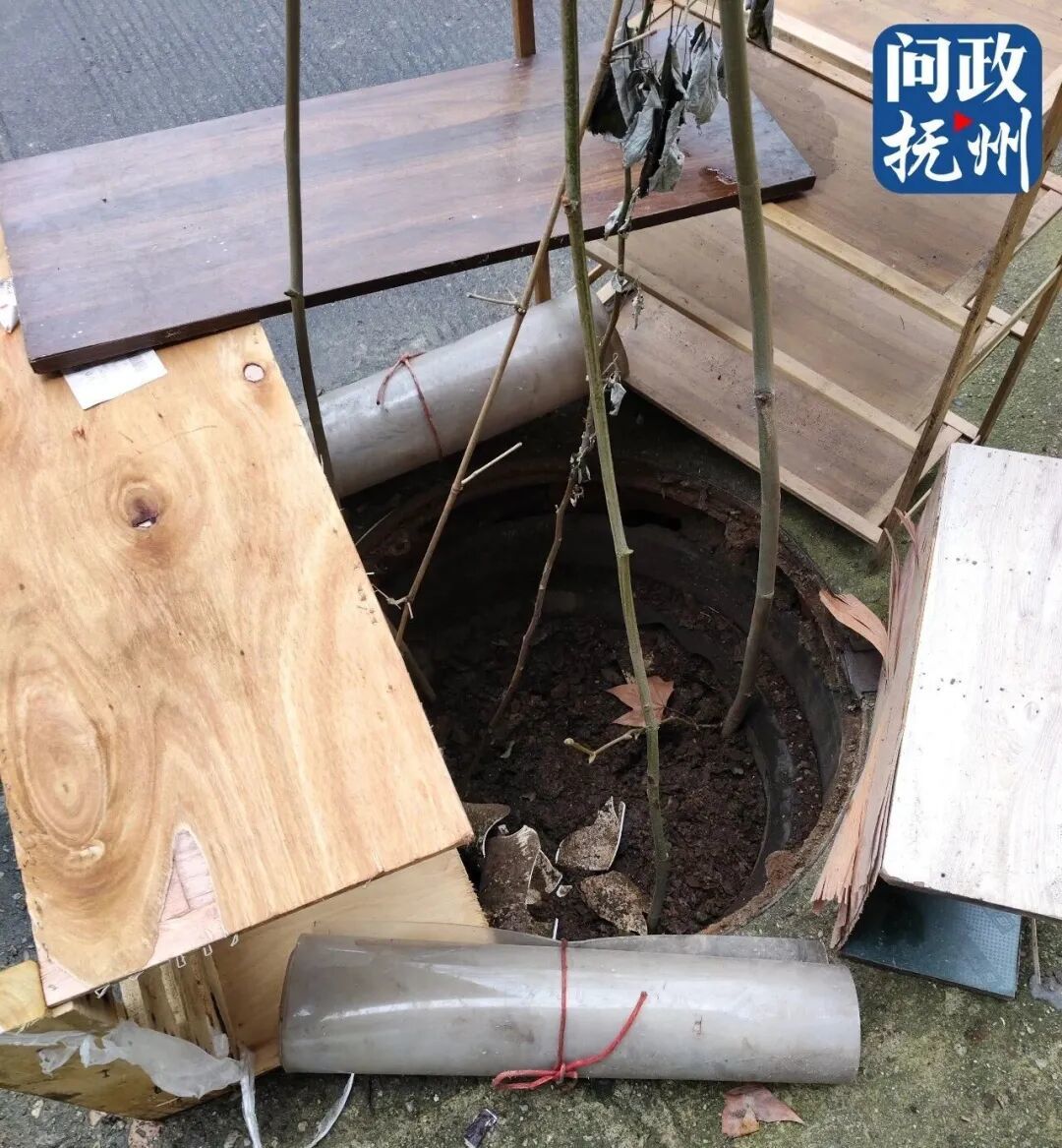 ▲图片由网友提供