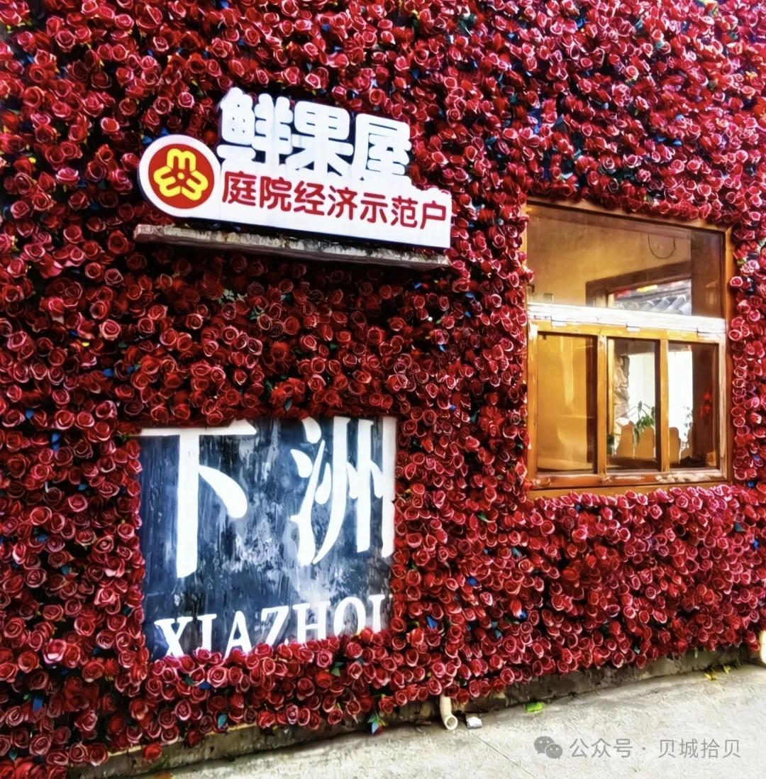 下洲村丨荔云蒸赤串串珠，蔗海翻青甜甜村