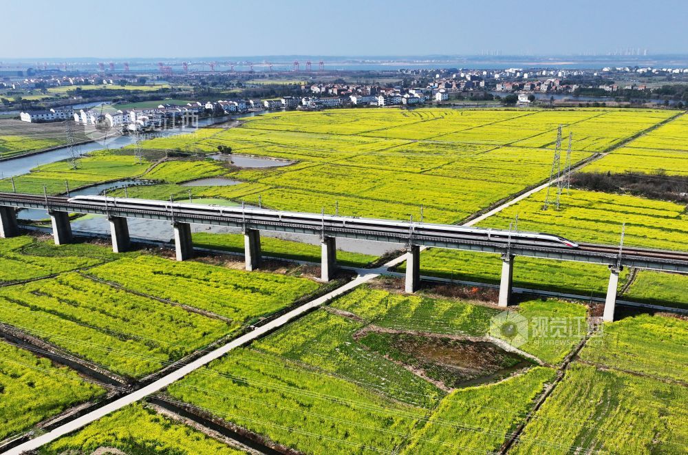 2026年3月12日,江西南昌县虎山村一带,昌福高铁沿线油菜花竞相绽放,一列复兴号动车组从油菜花田边驶过。