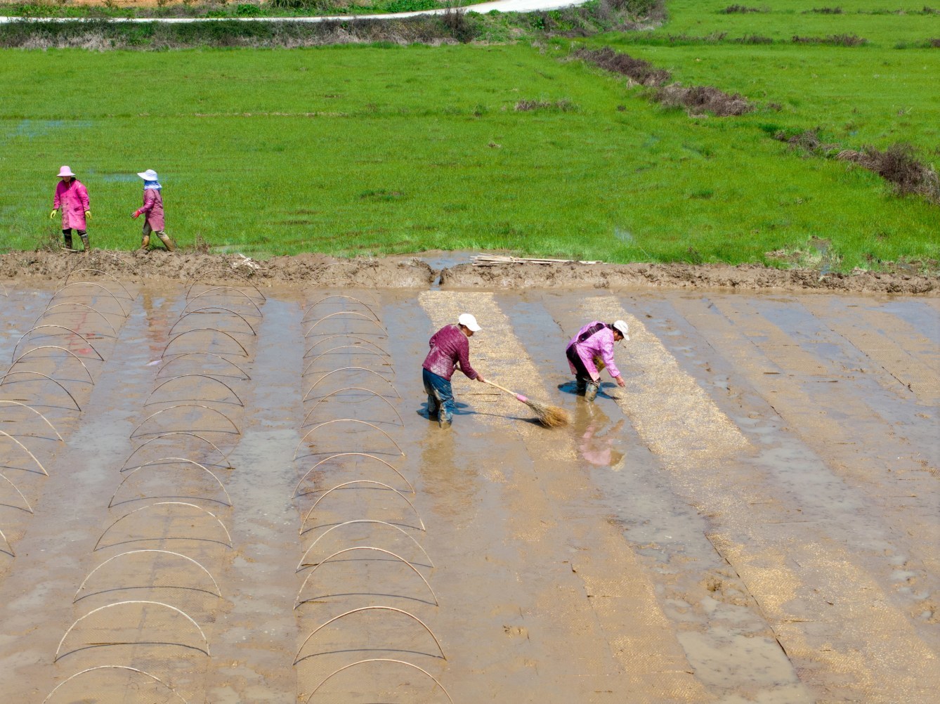 搭棚、撒种、育秧，金溪田间奏响“春耕曲”