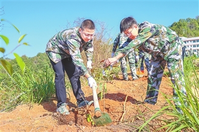 赣州定南：携手植树苗 共同添新绿（图）