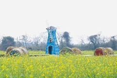 南昌14处春日生态打卡地等你来玩