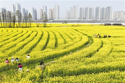 出行打折、景区不挤!南昌市民节后错峰出游热情高涨
