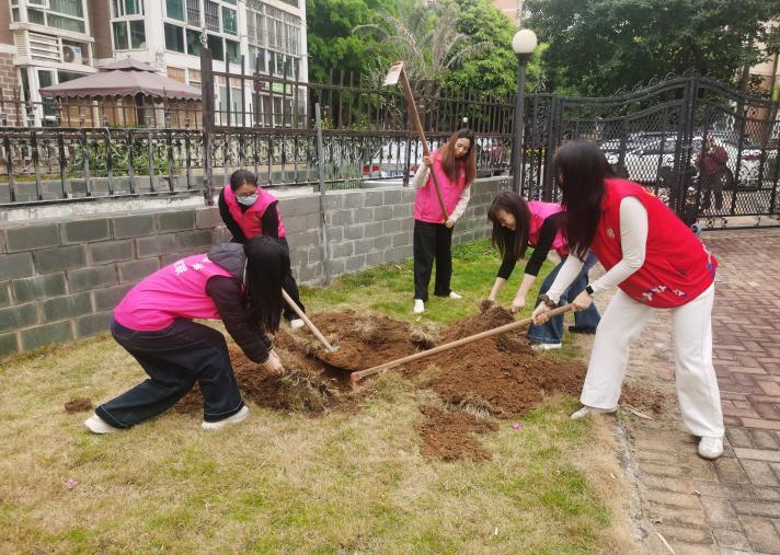 巾帼携手添新绿,共建绿美新家园——西乡街道桃源社区妇联开展植树活动