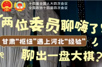 甘肃枢纽遇上河北经验　两位委员聊出一盘大棋