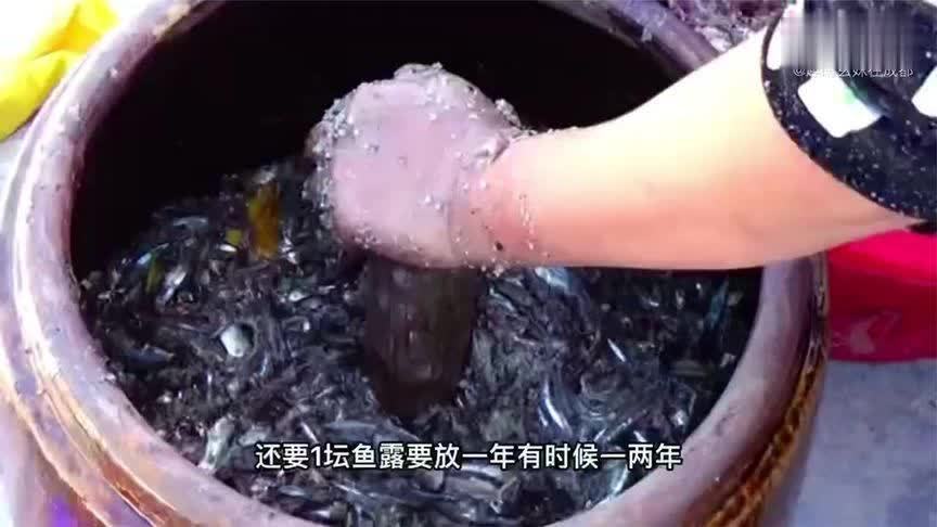 越南人对“鱼露”已经达到了痴迷地步，越南鱼露是什么做出来的？