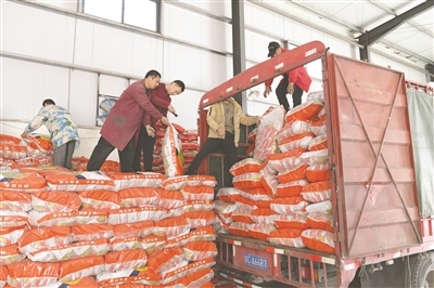 鹰潭余江区：春耕备耕正当时 种子市场销售旺（图）