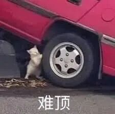 难顶- 高清图片，堆糖，美图壁纸兴趣社区