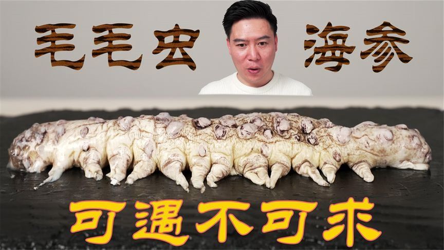 毛毛虫海参，百分99的人没吃过，看了都不敢下嘴