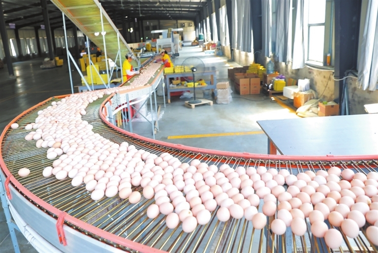 江西省裕丰满农业发展有限公司生产车间。（本报记者 刘家 摄）