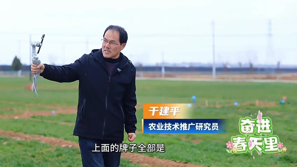 直播分享农技知识超圈粉　甘肃灵台田秀才云端传经送宝