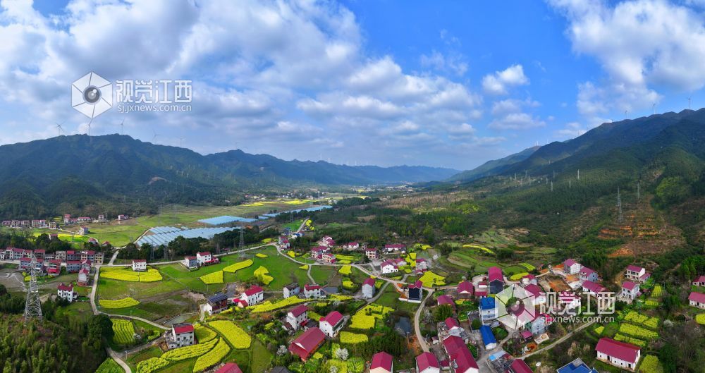 2026年3月6日，江西省吉安市泰和县水槎乡新桥村一带，油菜花田与大山、农舍相映成景，生态山乡风景独好。