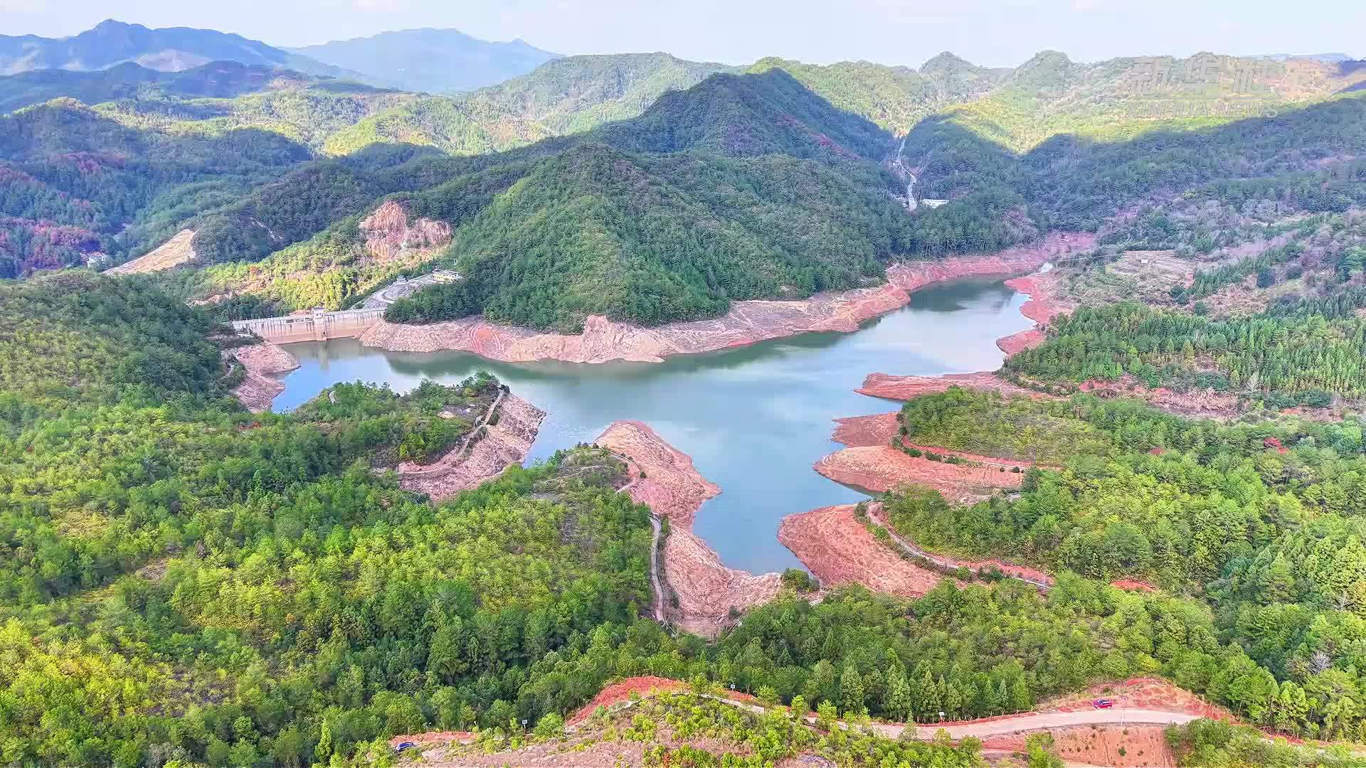 福建长汀：从“生态水库”到“绿色金库”的蝶变