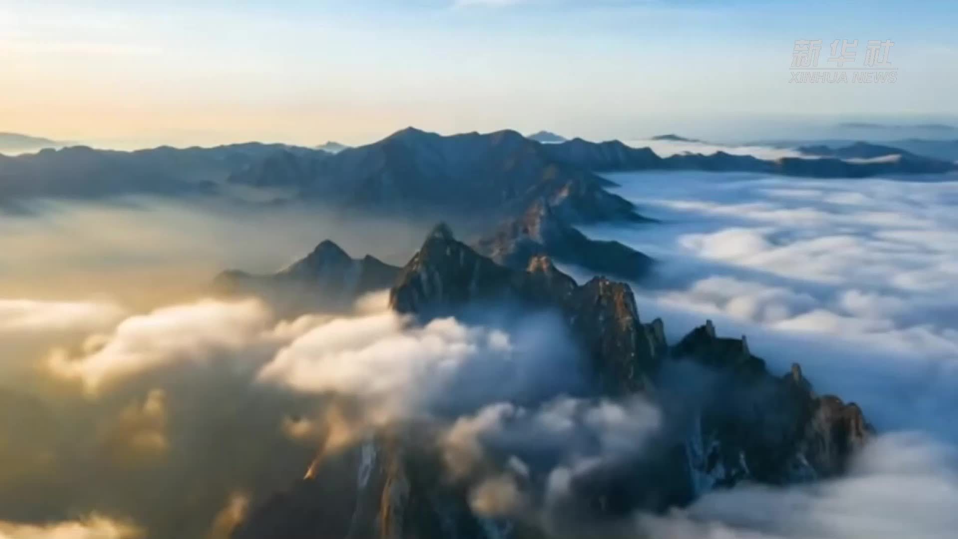 春日华山：云海翻涌  花开满园