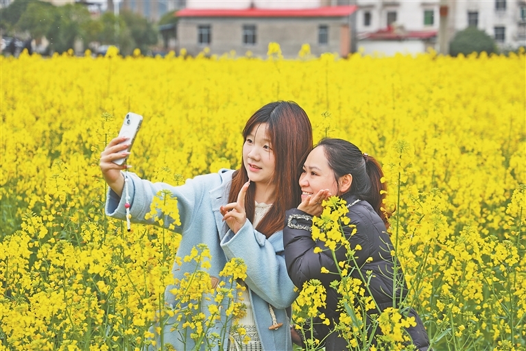 不负好春光（图）