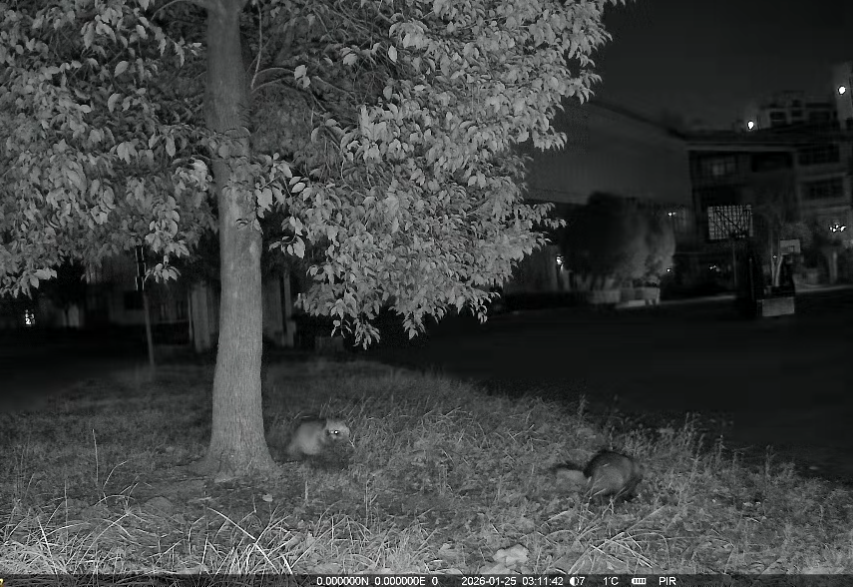 南京解锁校园生物多样性保护新方式