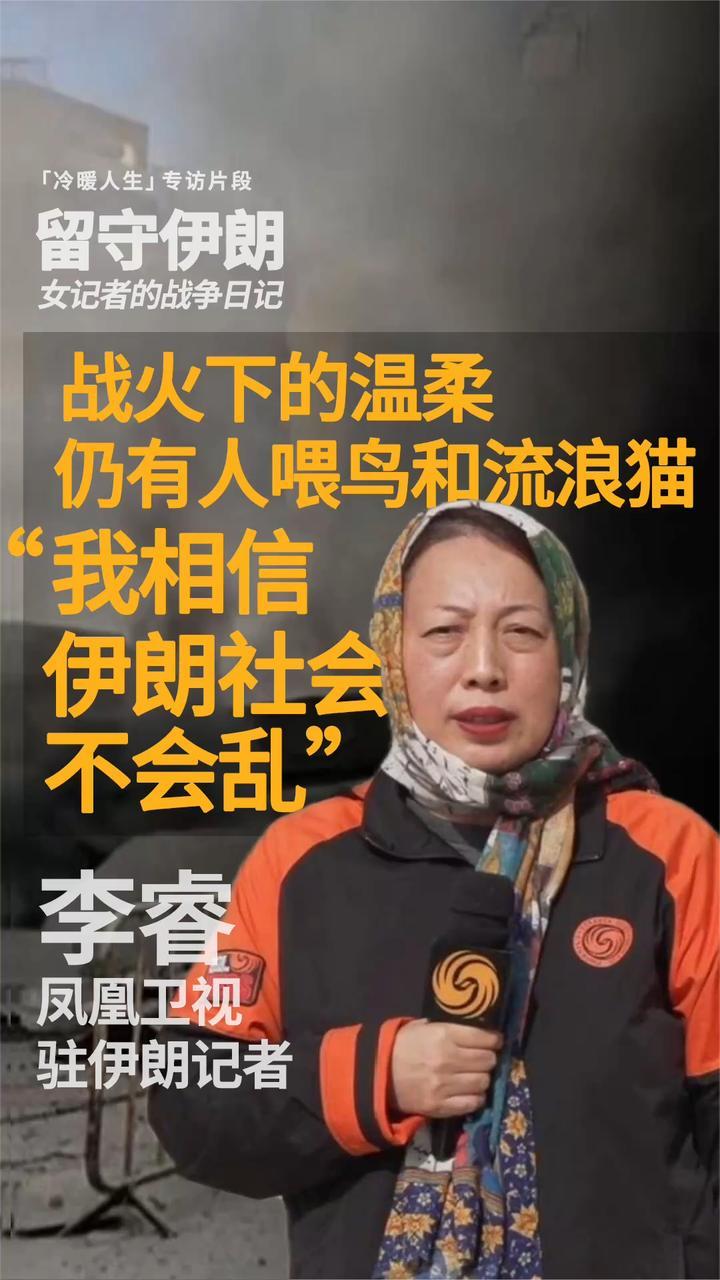 驻伊朗记者李睿：战火中仍有人喂鸟和流浪猫 我相信伊朗不会乱