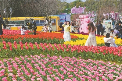 游客在凤凰沟拍照打卡