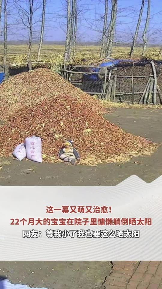 这一幕又萌又治愈！22个月大的宝宝在院子里慵懒躺倒晒太阳 网友：等我小了我也要这么晒太阳