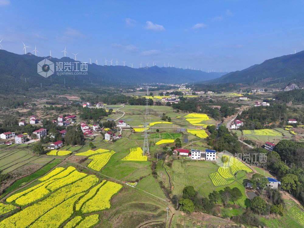 2026年3月6日，江西省吉安市泰和县水槎乡新桥村一带，油菜花田与大山、农舍相映成景，生态山乡风景独好。