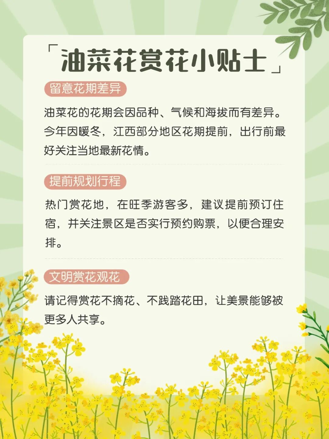 未来江西晴朗在线 2026年油菜花观赏地图上线