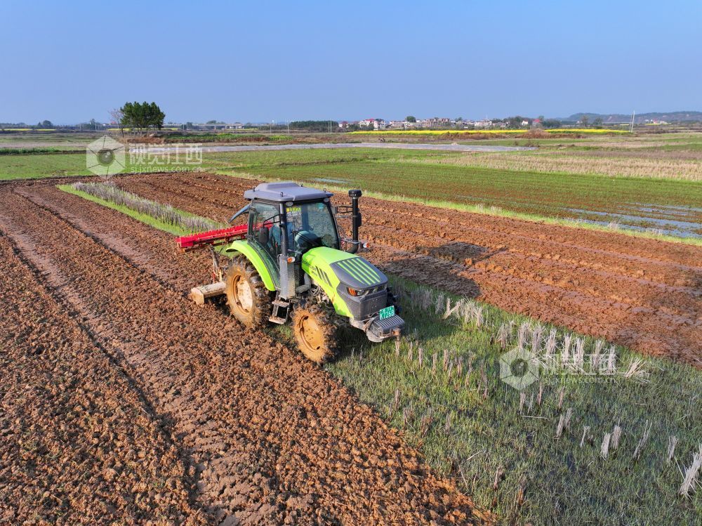2026年3月10日，江西省吉安市泰和县万合镇高樟村，农民驾驶拖拉机正在翻耕整地。