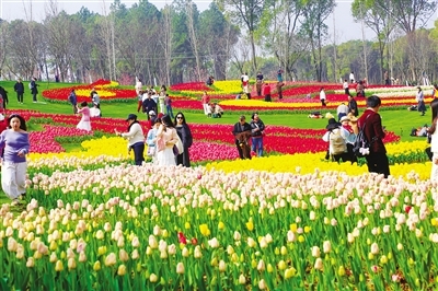 凤凰沟景区内游人如织