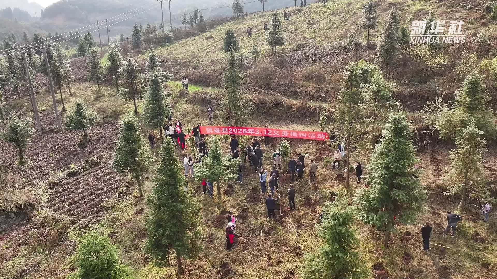 云南多地开展植树活动