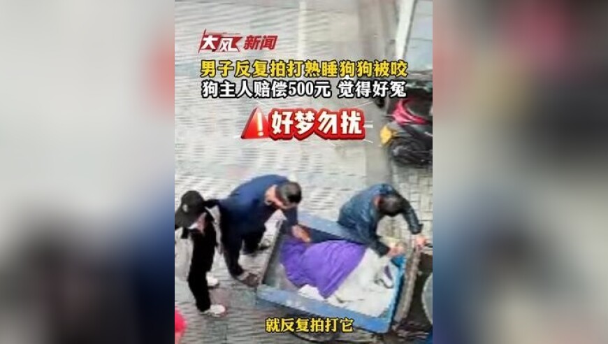 男子挑逗熟睡狗狗被咬，狗主人赔偿500元 觉得好冤
