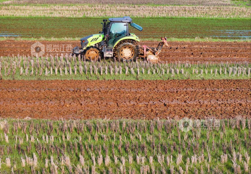 2026年3月10日，江西省吉安市泰和县万合镇高樟村，农民驾驶拖拉机正在翻耕整地。