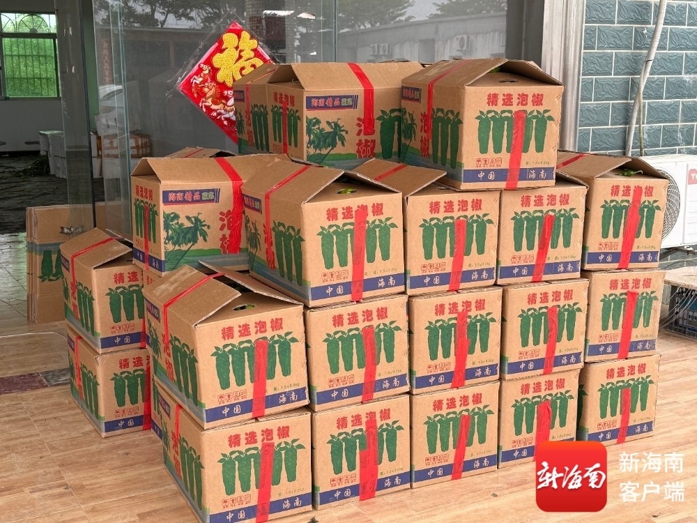 打包好的泡椒。记者 程小丹 摄