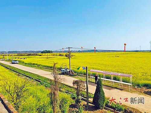 油菜花 地点：流湖镇柏树村