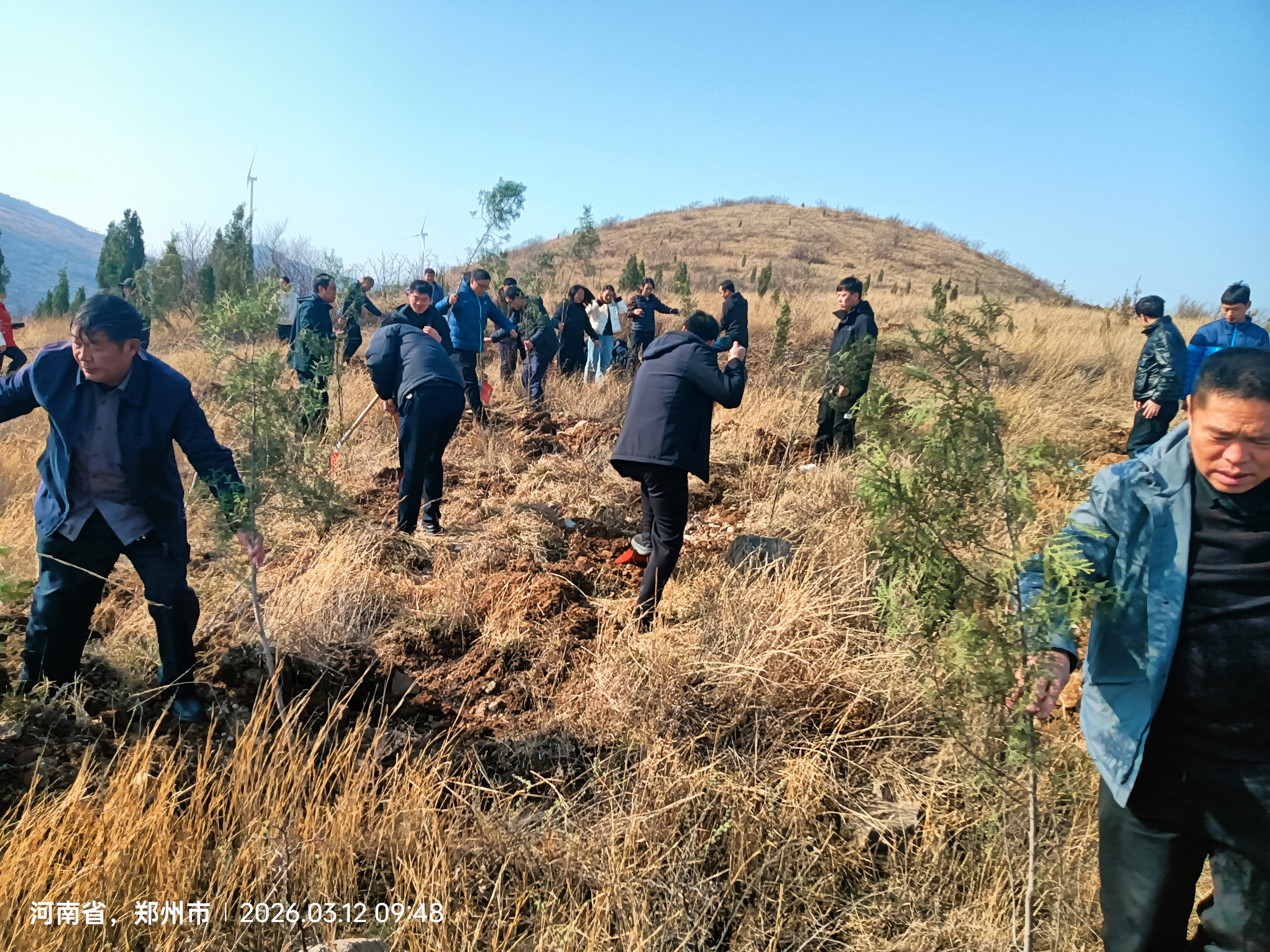 登封市人社局开展义务植树活动