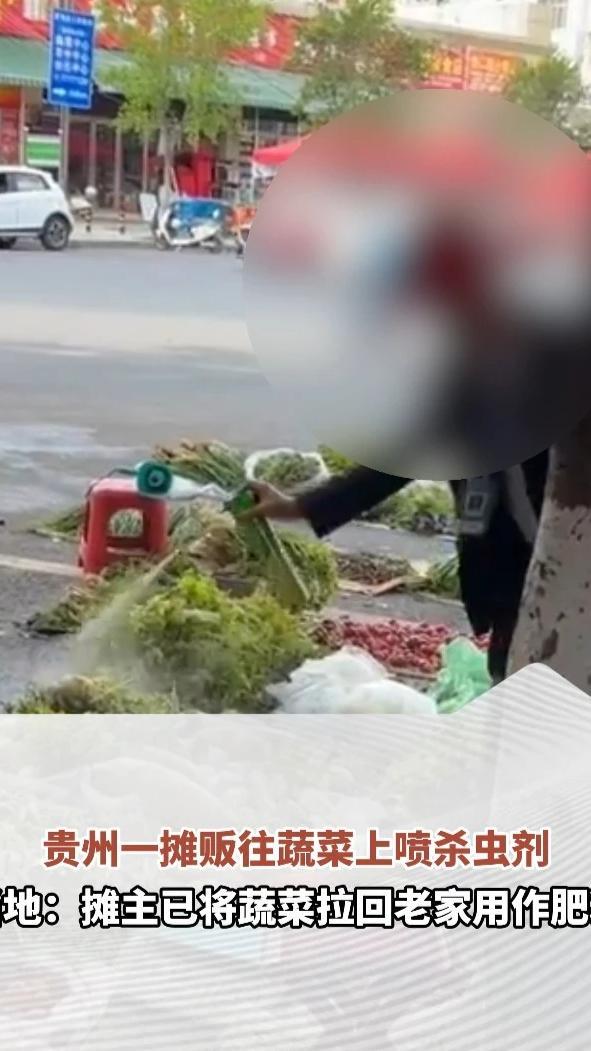 贵州一摊贩往蔬菜上喷杀虫剂，当地：摊主已将蔬菜拉回老家用作肥料