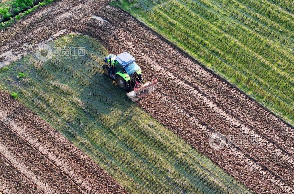 2026年3月10日，江西省吉安市泰和县万合镇高樟村，农民驾驶拖拉机正在翻耕整地。